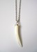 Image of Mother of Pearl Horn Pendant.