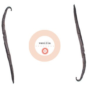 Image of vanilla extract kit