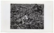 Image of THREE PEOPLE AMONGST A SEA OF ROCKS VINTAGE SNAPSHOT PHOTO 