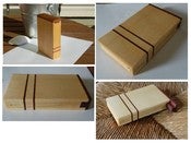 Image of Dual Stripe iPod Case for iPod Touch