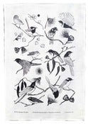 Image of Tea Towel - Bush Birds
