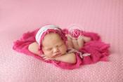 Image of *New* Elisabeth Knit Backdrop