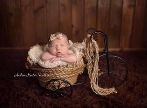 Image of Adorable Black Metal Trike with Barn Rope Basket