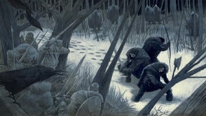 Image of Ambush
