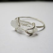 Image of Eve's Little Secret