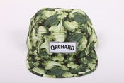 Image of Orchard 5 Panel Hat - Snack Pack Broccoli