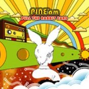 Image of PINE*am - "Pull The Rabbit Ears" CD