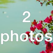 Image of Any 2 photos 8.3" x 5.8"
