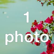 Image of Any photo 8.3" x 5.8"