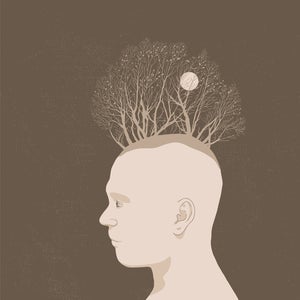Image of Nature portrait 03