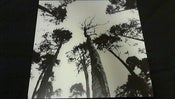 Image of Ancestors Blood - When The Forest Calls LP