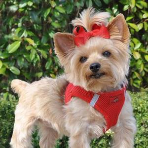 Image of American River Ultra Choke-Free Mesh Dog Harness - Red