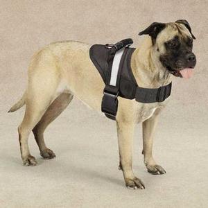 Image of Guardian Gear Excursion Dog Harness