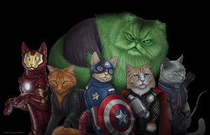 Image of Catvengers Poster