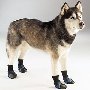 Image of Guardian Gear Dog Boots - Blue