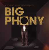 Image of Kicking Punching Bags