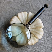 Image of magnifying glass