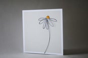 Image of daisy
