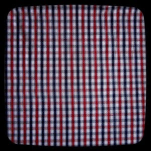 Image of 'Sara' shirt - Red, White and Blue check - PRESALE