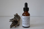 Image of Ocotillo & Rose Quartz Essence