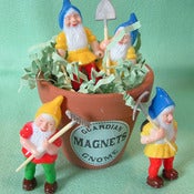 Image of Guardian Gnome Magnet Set