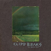 Image of CLIPD BEAKS - TO REALIZE - [2xLP]