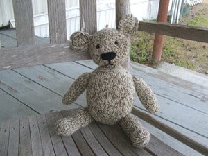 Image of The Teddy Bear That Saved Me