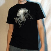 Image of Jellyfish