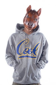 Image of Cool Dos Hoodie - Grey