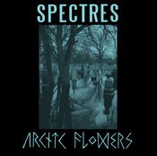 Image of Arctic Flowers / Spectres split 7"