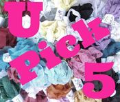 Image of *New* U Pick 5