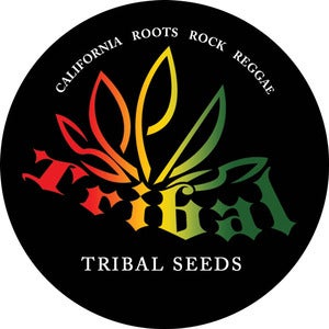 Image of Irie Sticker