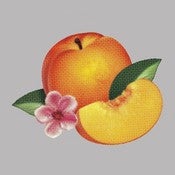 Image of PHOENIX - Bankrupt! - LP