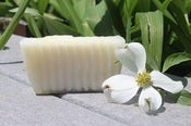 Image of Sister's Keeper Sunburst Shampoo Bar