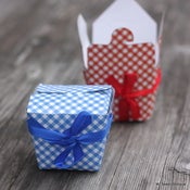 Image of Mini boite noodle vichy rouge ou bleu