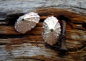 Image of Large Limpet Post Earrings