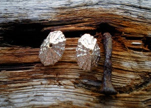 Image of Small Limpet Post Earrings