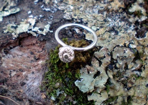 Image of Small Acorn Ring