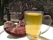 Image of Organic Green Tea with Ganoderma