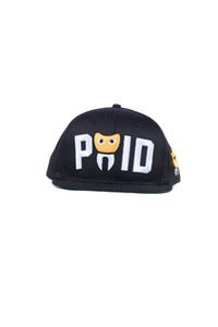 Image of Paid Snap