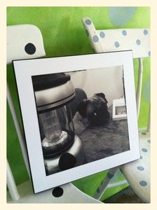 Image of PHOTO PRINT: Saki, Waiting For The Storm