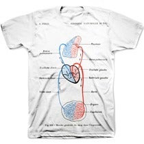 Image of THE CIRCULATORY SYSTEM tee shirt