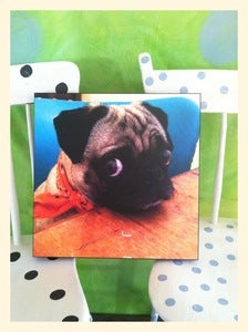 Image of PHOTO PRINT: Saki in Bandana