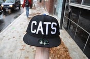 Image of black / white cats 