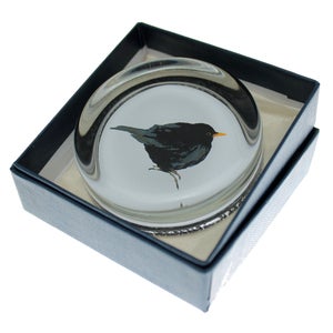 Image of Paperweight - Blackbird