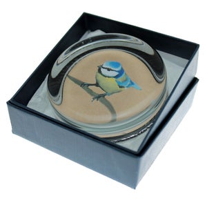 Image of Paperweight - Blue Tit