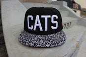 Image of cats hat cement visor