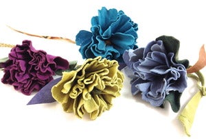 Image of flower