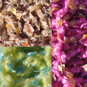 Image of Candy Land