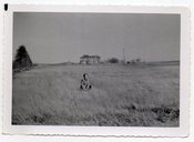 Image of WOMAN SITS IN GRASSY FIELD VINTAGE SNAPSHOT PHOTO 